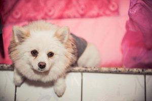 Niki Lauda al Nürburgring: il rogo del 1976 e il miracolo del ritorno